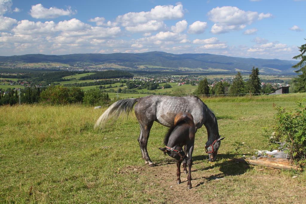 U Repy Bańska Exterior foto