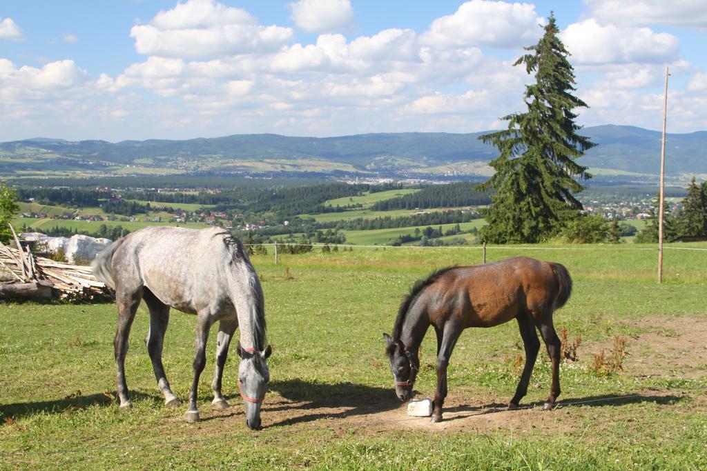 U Repy Bańska Exterior foto